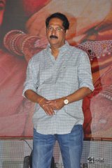 Sailaja Reddy Alludu Movie Pre Release Event Photos